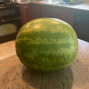 this is a large watermelon